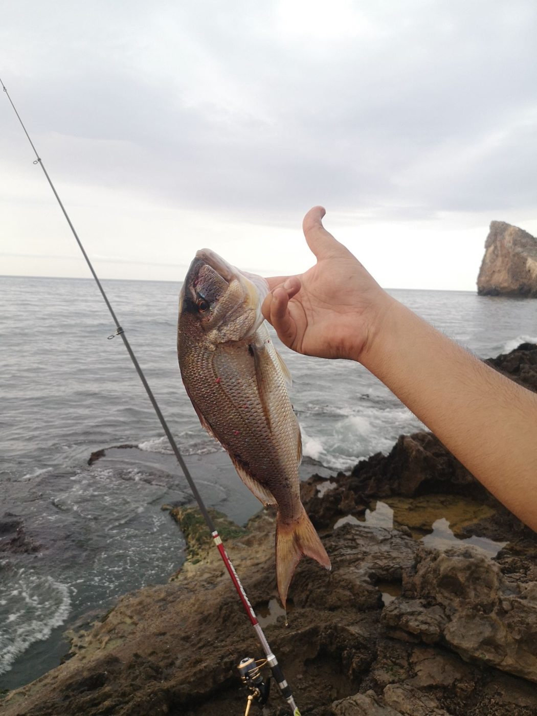 Cómo Pescar Doradas desde la Playa: Cañas, Cebos y Trucos