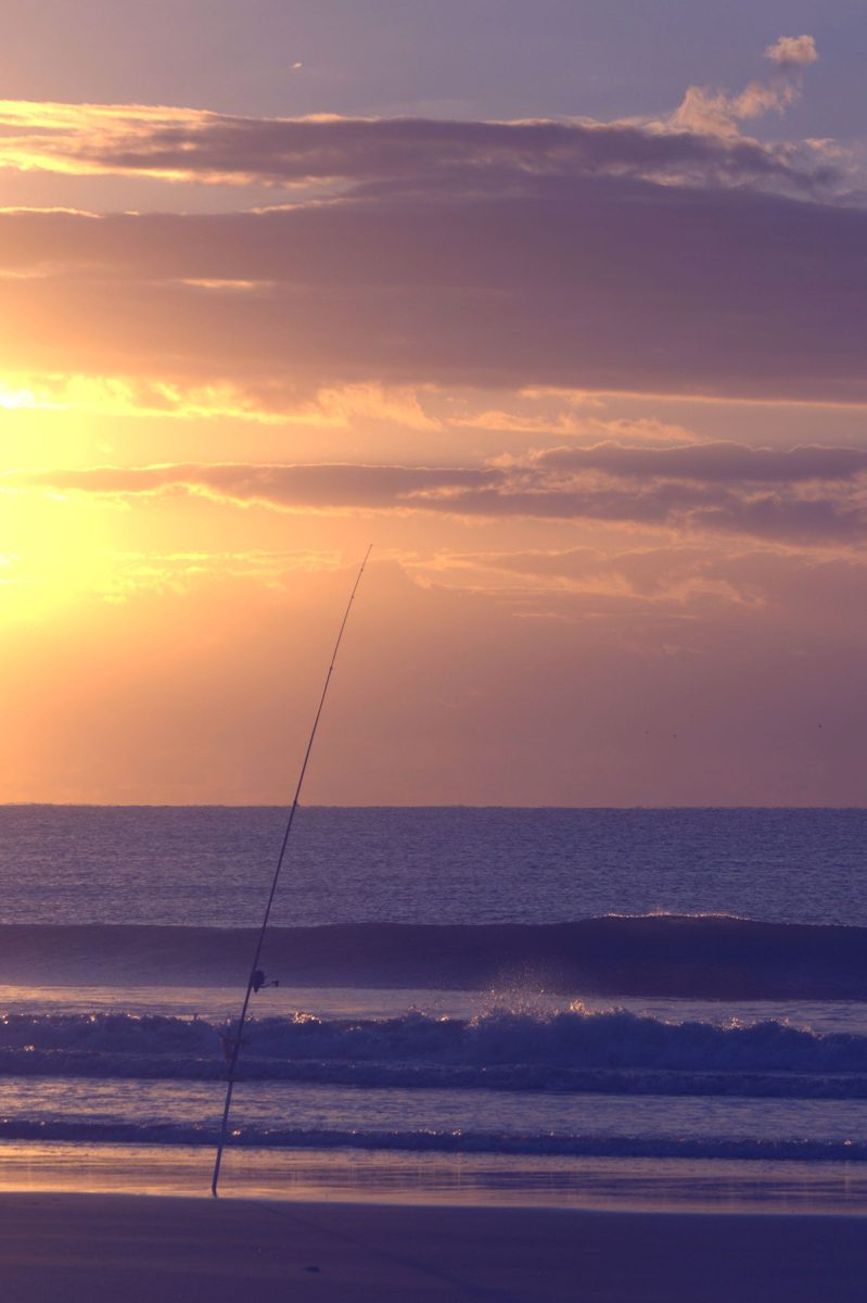 Pesca de doradas a surfcasting