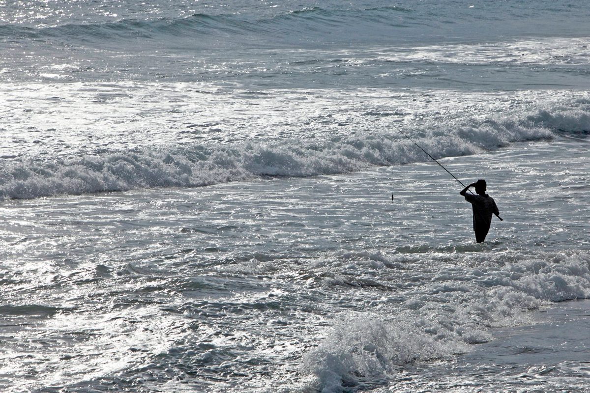 Iniciación a la pesca en el mar